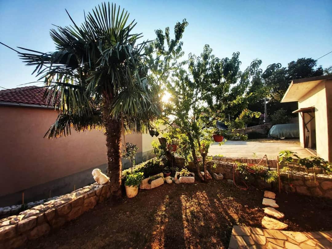קריקווניצה Apartmani Afrodita מראה חיצוני תמונה