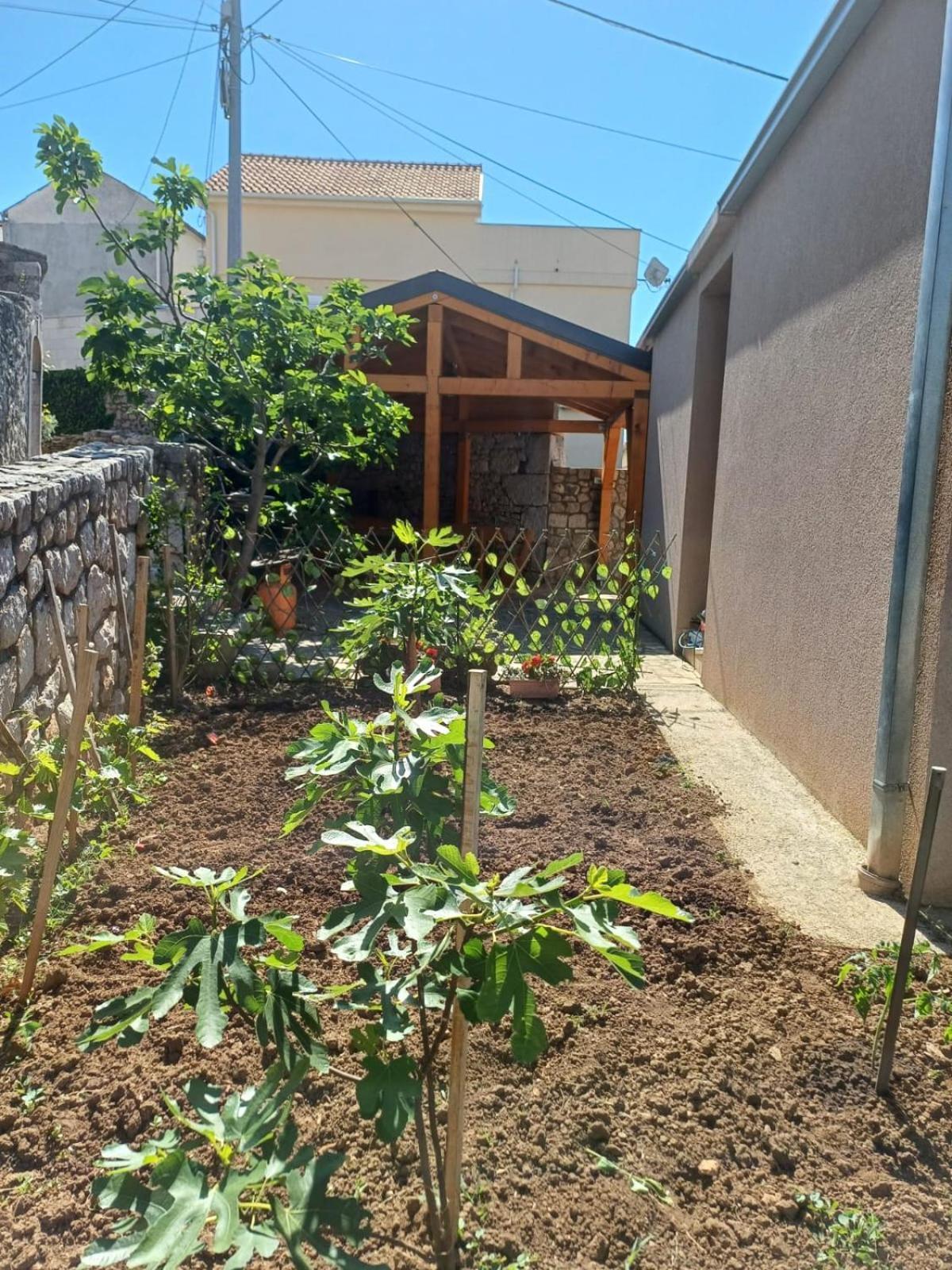 קריקווניצה Apartmani Afrodita מראה חיצוני תמונה