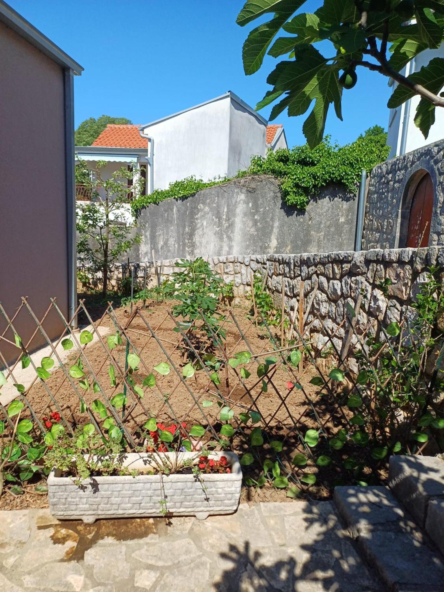קריקווניצה Apartmani Afrodita מראה חיצוני תמונה